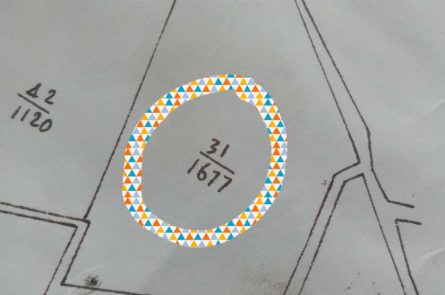 Cần tiền bán gấp 3 sào ruộng  tại xã Đồng Thái.