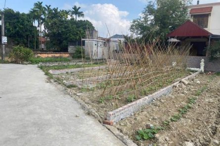 1 lô F0 duy nhất chỉ hơn 300tr